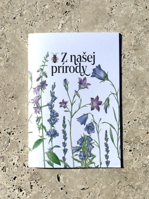 Zošit | Zvončeky