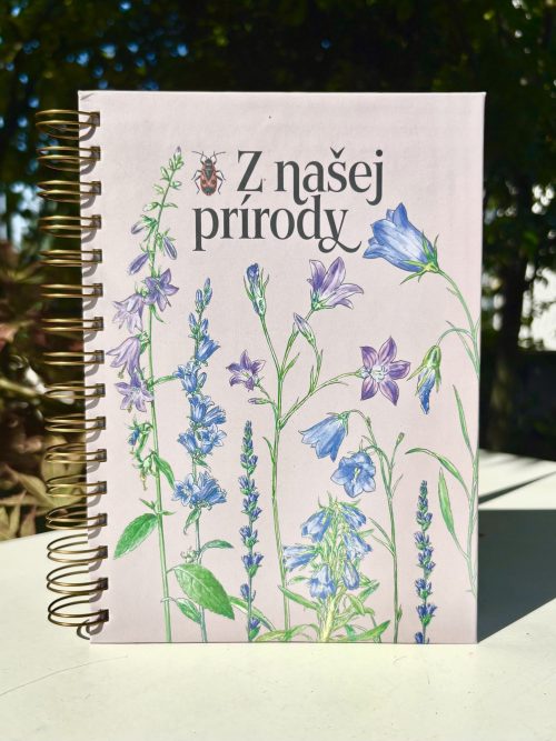 Veľký zápisník | Zvončeky (ružovkasté pozadie)