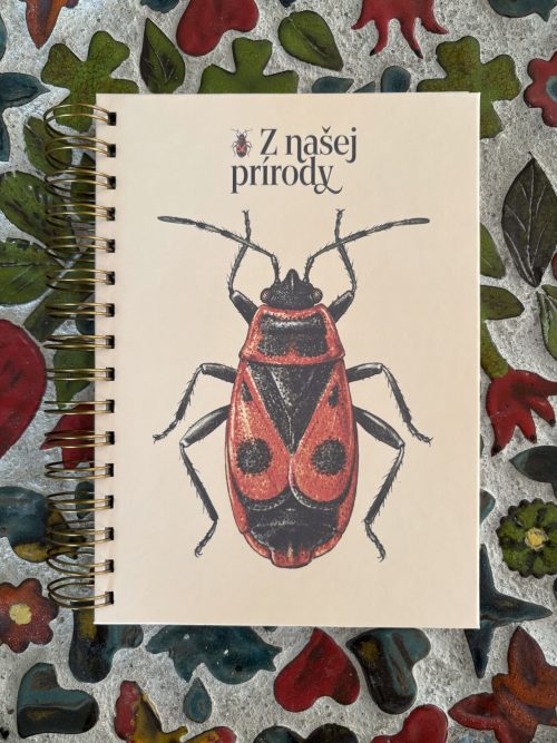 Veľký zápisník | Cifruša (pieskové pozadie)