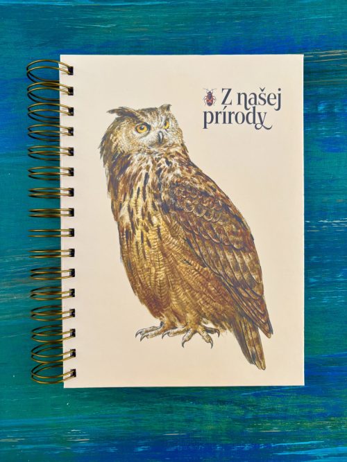 Veľký zápisník | Výr skalný