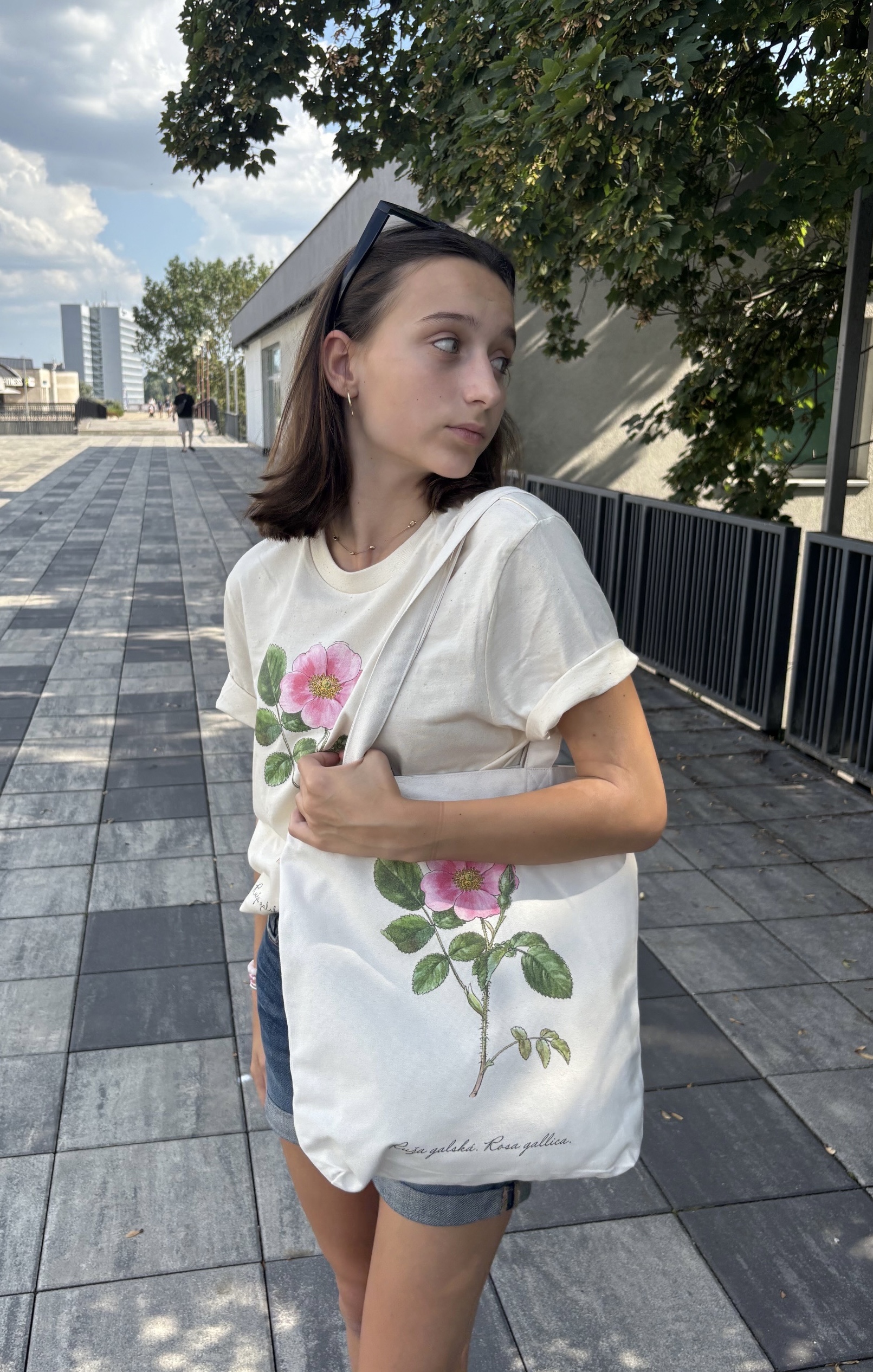 IMG-2572 (1)
