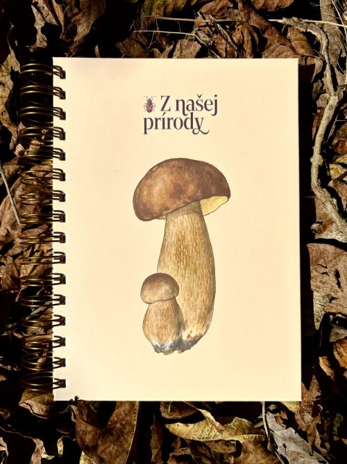 Veľký zápisník | Dubák