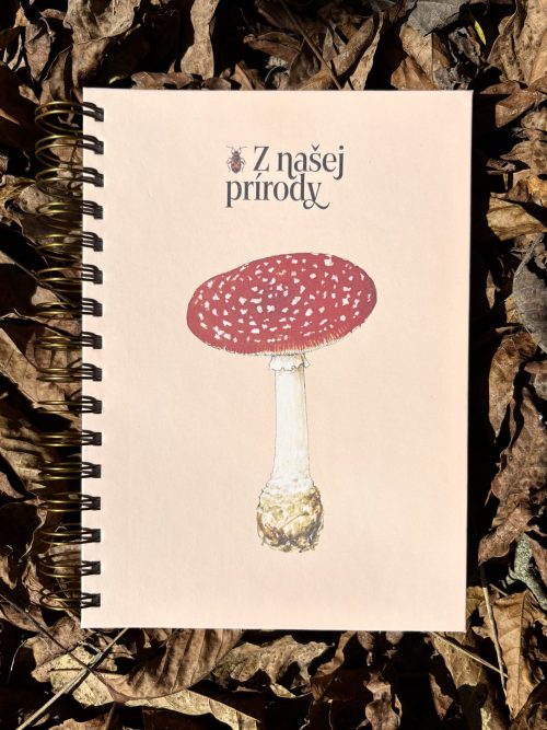 Veľký zápisník |  Muchotrávka