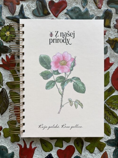 Veľký zápisník I Ruža gálska