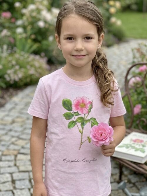 Tričko I Ruža gálska