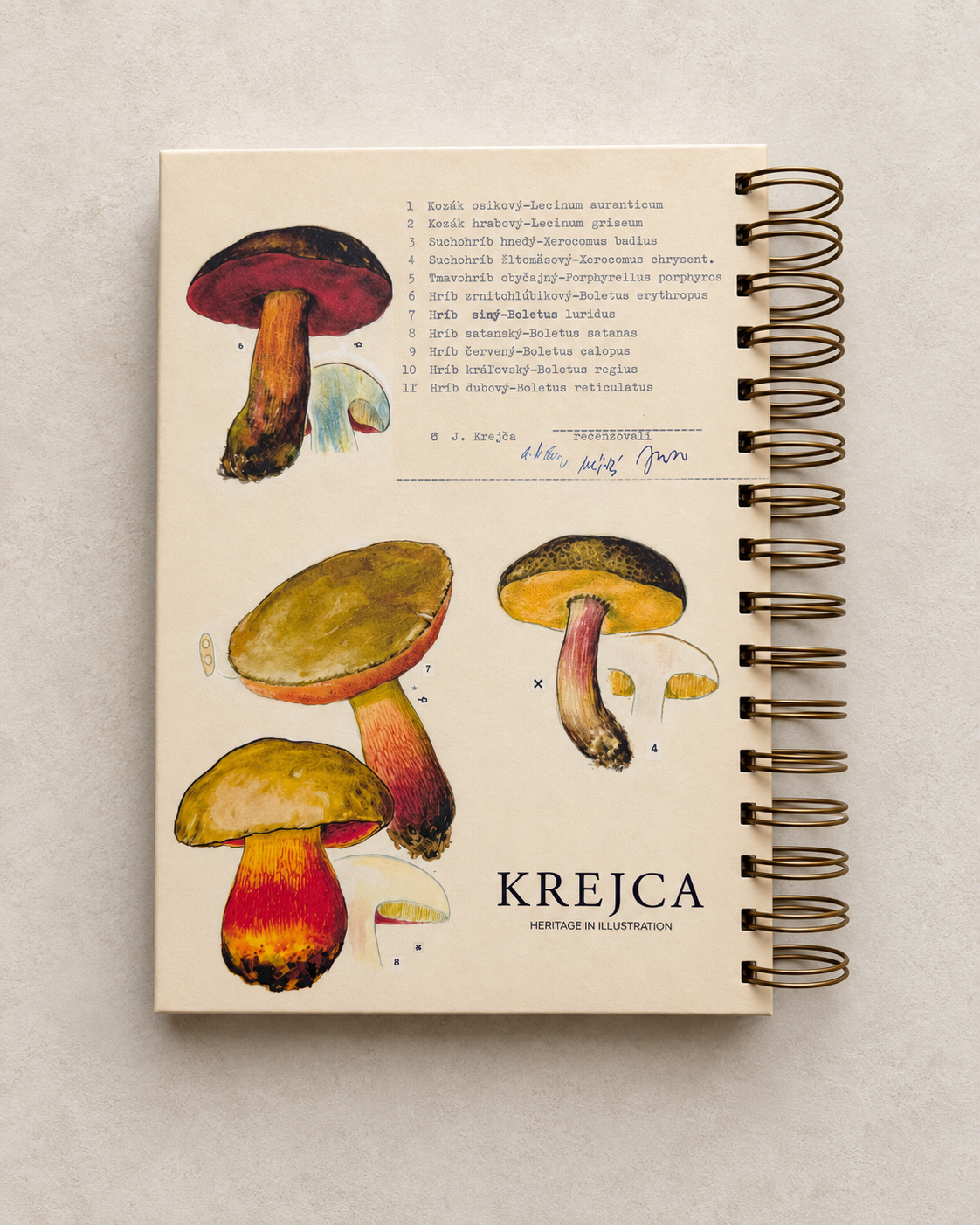 ChatGPT Image 7. 9. 2026, 15_27_18 (1)